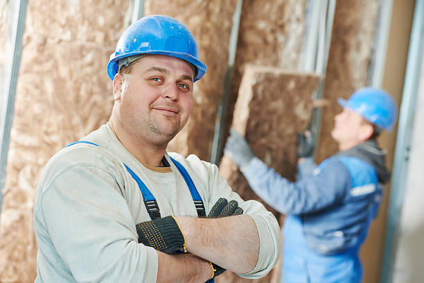 Best Basement Insulation  in Sackets Harbor, NY